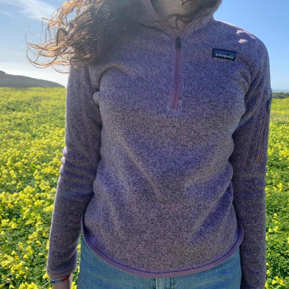 purple patagonia